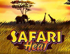 Safari Heat