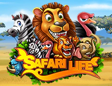 Safari Life