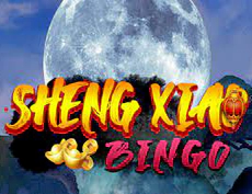 Sheng Xiao Bingo