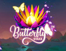 Butterfly Staxx