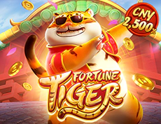 Fortune Tiger