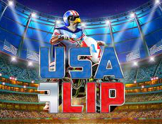 USA Flip