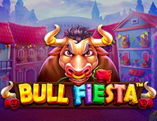 Bull Fiesta