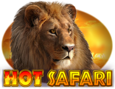Hot Safari