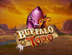 Buffalo Toro