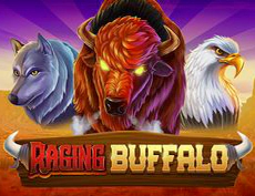 Raging Buffalo