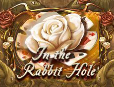 In the Rabbit Hole