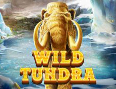 Wild Tundra