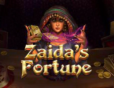 Zaida's Fortune