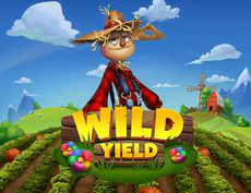 Wild Yield